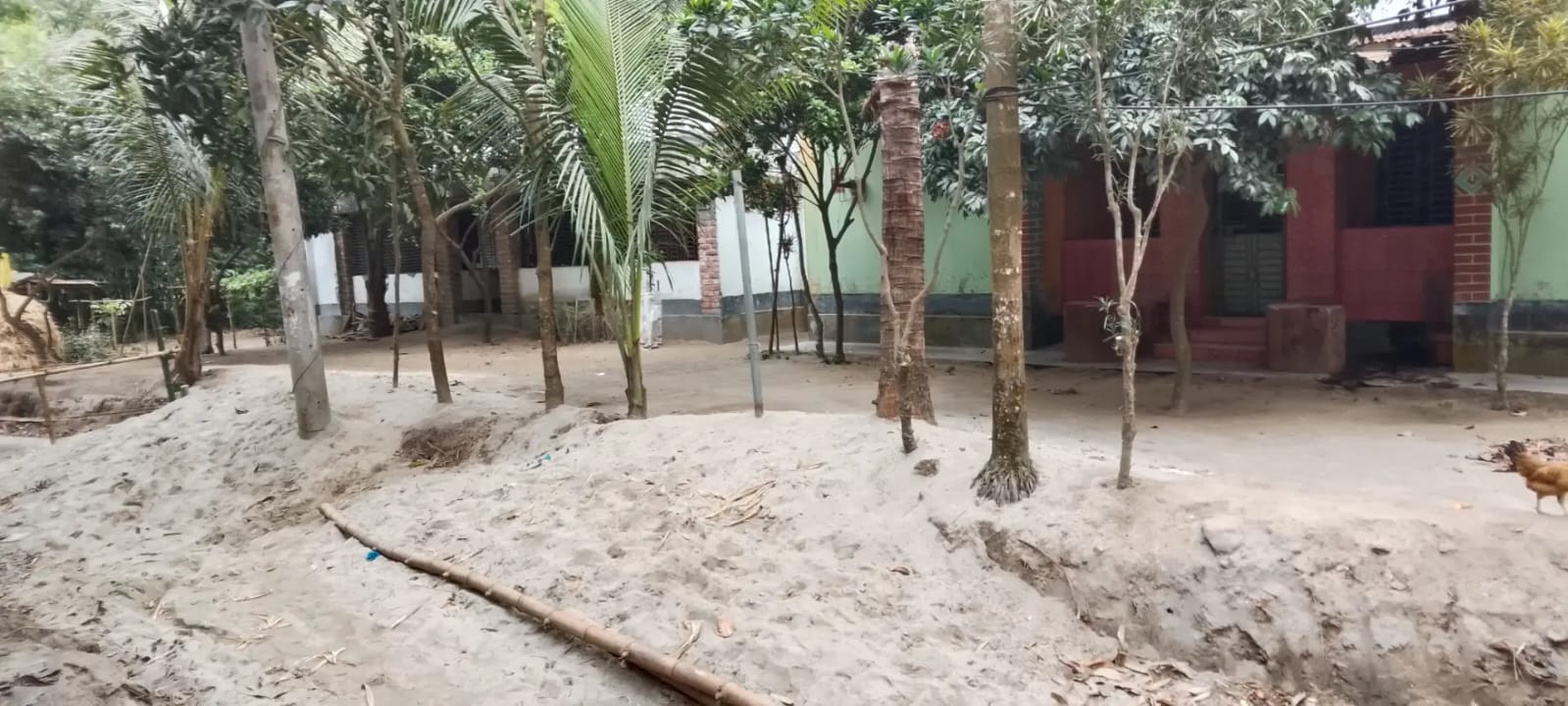 বগুড়ায় সরকারি ম্যাপ উপেক্ষা করে ব্যক্তিজমিতে রাস্তা! কাজ বন্ধের নির্দেশ