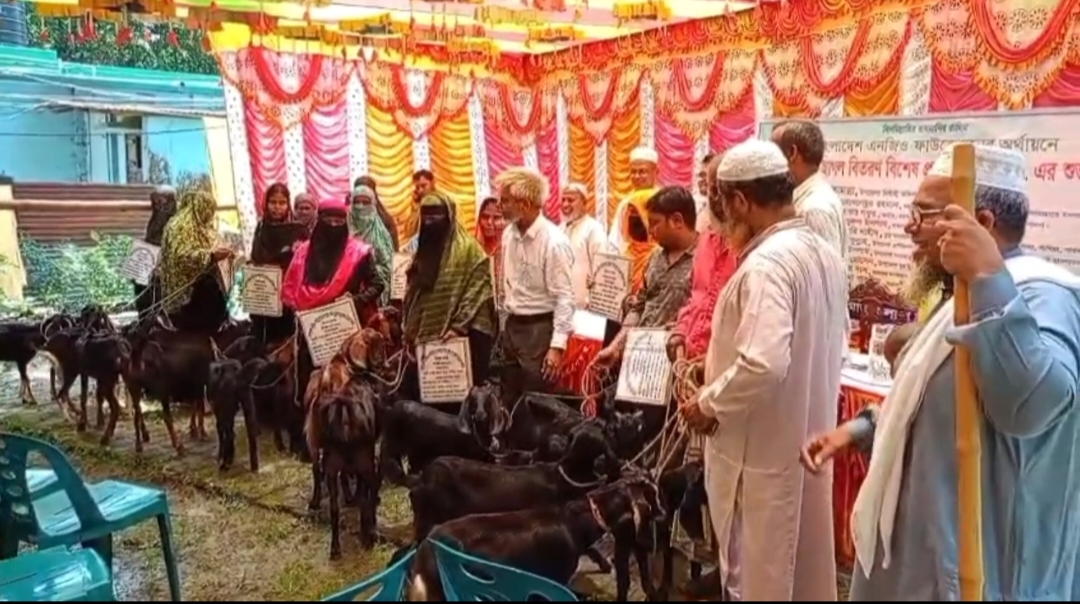 সাঁথিয়ায় সৃজনী সমাজ কল্যাণ সংস্থার উদ্যোগে নারীদের স্বাবলম্বী করতে মা ছাগল বিতরণ