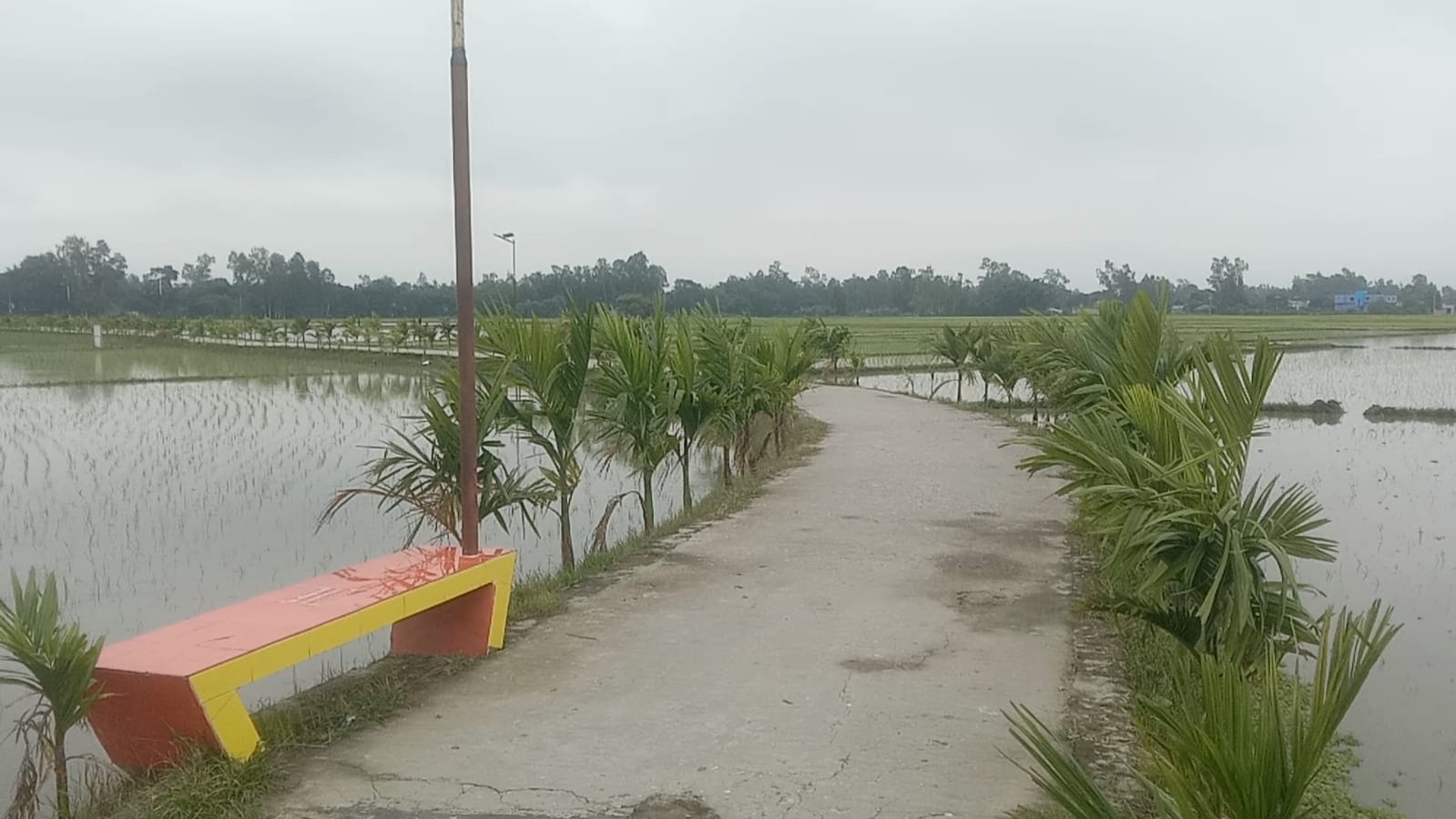 কালাইয়ে নান্দনিক সড়ক, বদলে গেছে গ্রামীণ জনপদের দৃশ্য