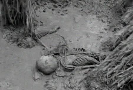 জয়পুরহাটে আখক্ষেত থেকে গলিত মরদেহের কঙ্কাল উদ্ধার