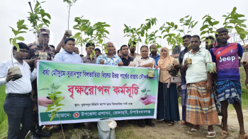রাস্তার সৌন্দর্য বর্ধনে গাছ রোপন করলেন ভোলাহাট উপজেলা নির্বাহী অফিসার