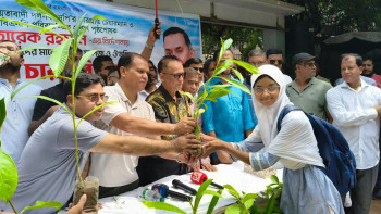 তারেক রহমান-এর পক্ষ থেকে স্কুলের শিক্ষক ও শিক্ষার্থীদের মাঝে গাছের চারা বিতরণ