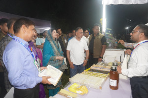 চর-উপকূলে সূর্যমুখী-মৌচাষে জোর, কমতে পারে তেল ও মধু আমদানি