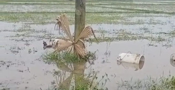 জয়পুরহাটে গভীর নলকূপের তিনটি বৈদ্যুতিক ট্রান্সফরমার চুরি