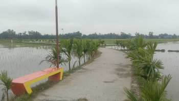 কালাইয়ে নান্দনিক সড়ক, বদলে গেছে গ্রামীণ জনপদের দৃশ্য