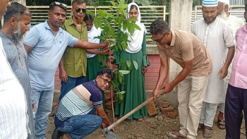 ফুলকোট নবদয় কারিগরি উচ্চ বিদ্যালয়ে বৃক্ষরোপণ কর্মসূচি