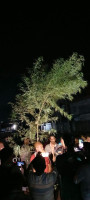 কালাইয়ে প্রায় ১২ ফুটগাঁজার গাছ সহ আটক এক